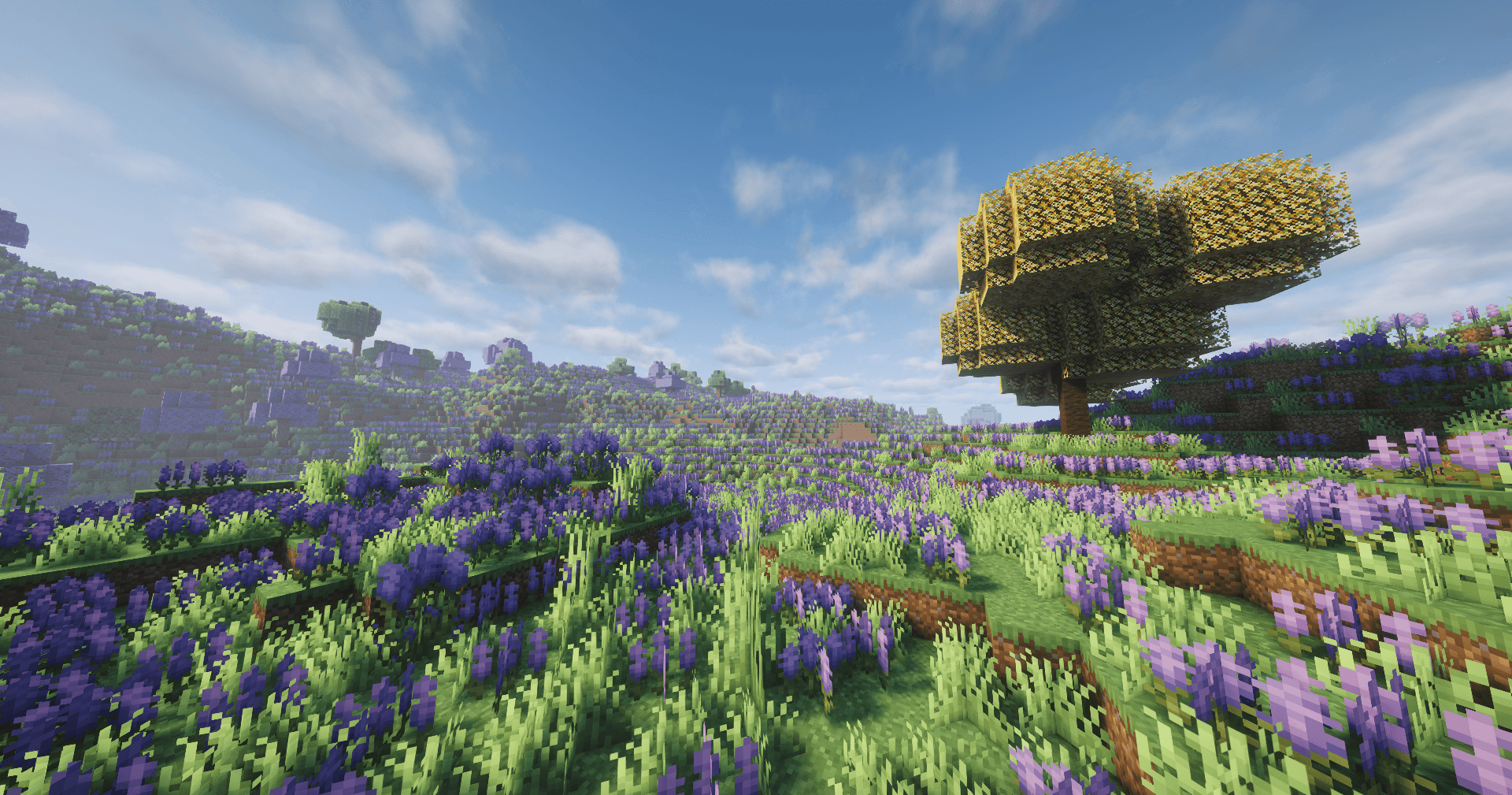 Sunlit Minecraft meadow filled with purple flowers beneath a broad tree.